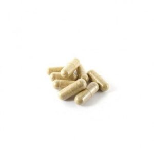 Golden Teacher Capsules